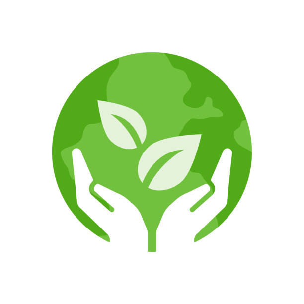BritCore Solutions Ltd